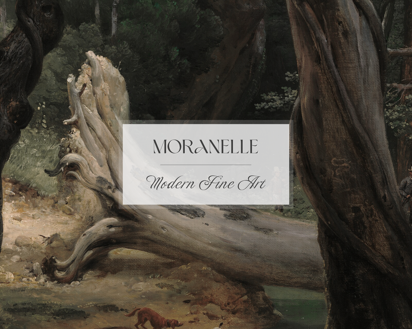 Close-up of textured tree bark and foliage, highlighting intricate details of the forest.