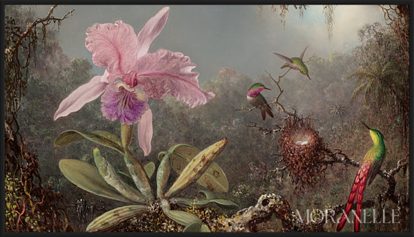 Martin Johnson Heade, Cattleya Orchid and Three Hummingbirds – full painting reproduction, digital download for Samsung Frame TV.