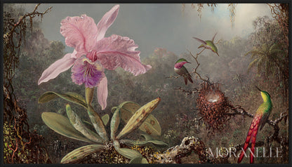 Martin Johnson Heade, Cattleya Orchid and Three Hummingbirds – full painting reproduction, digital download for Samsung Frame TV.