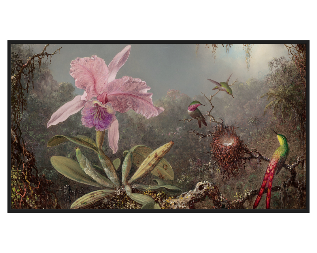Martin Johnson Heade, Cattleya Orchid and Three Hummingbirds – full painting reproduction, digital download for Samsung Frame TV.