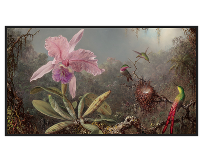 Martin Johnson Heade, Cattleya Orchid and Three Hummingbirds – full painting reproduction, digital download for Samsung Frame TV.