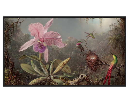 Martin Johnson Heade, Cattleya Orchid and Three Hummingbirds – full painting reproduction, digital download for Samsung Frame TV.