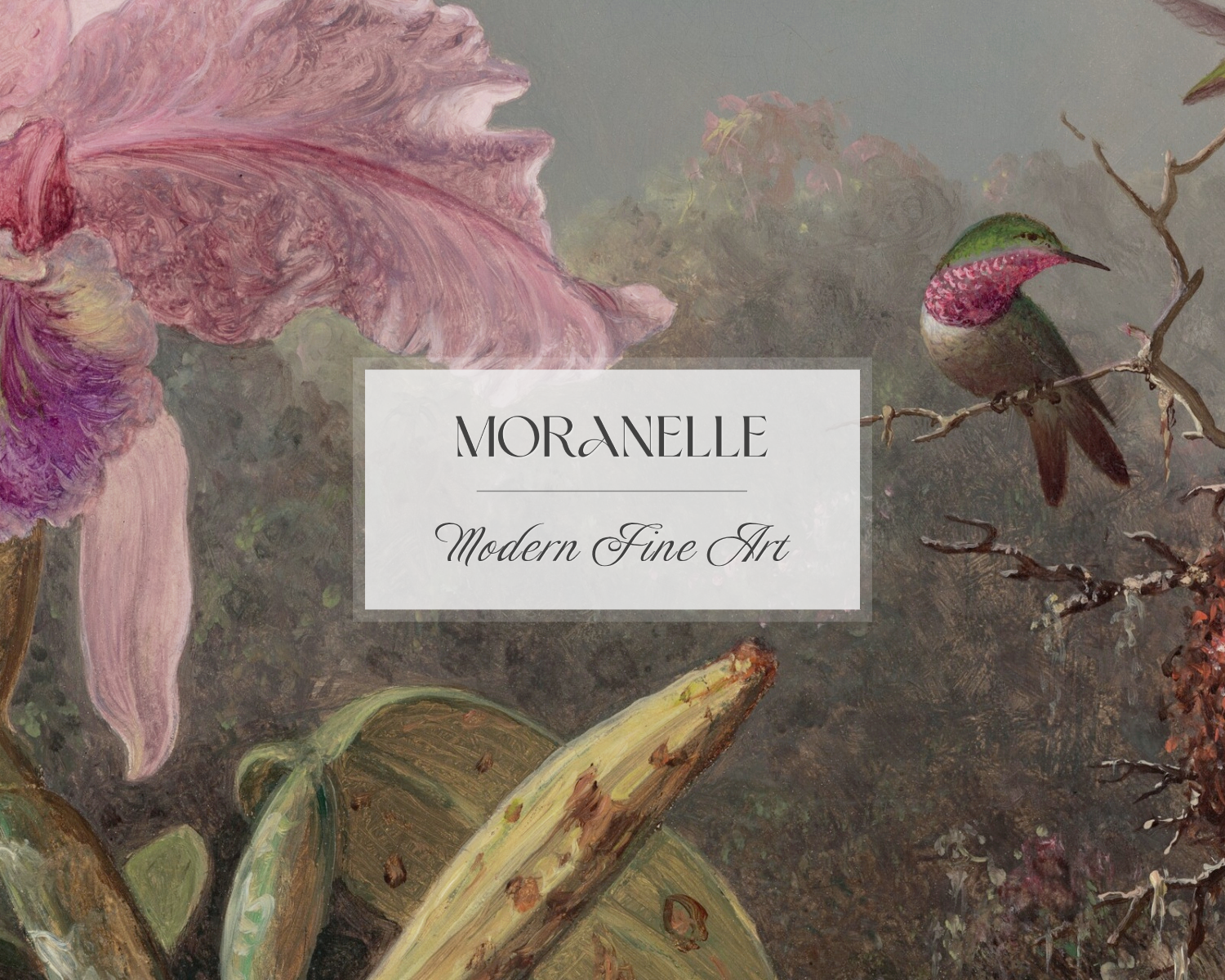 Martin Johnson Heade, Cattleya Orchid and Three Hummingbirds – close-up view highlighting texture, brushwork, and fine details of the painting.