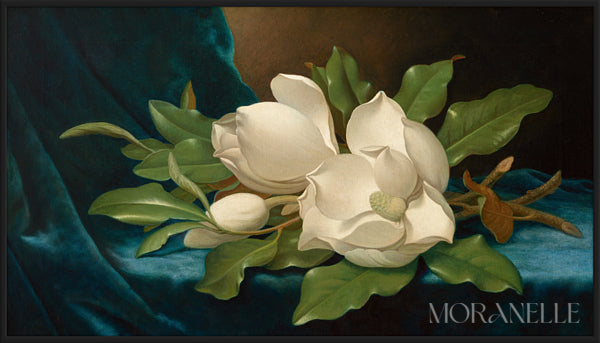 Martin Johnson Heade Magnolias on a Blue Velvet Cloth - full painting reproduction, digital download for Samsung Frame TV.
