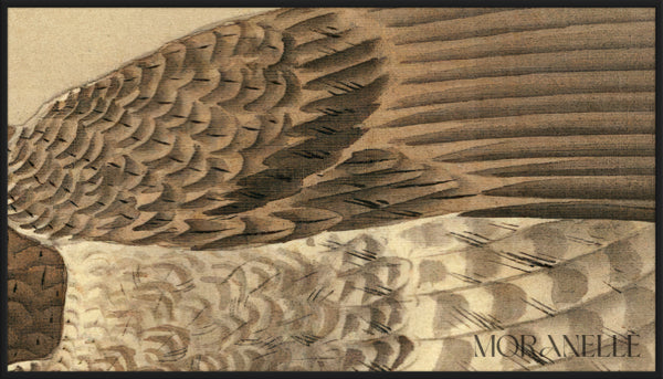 Ohara Koson Hawk - painting details, digital download for Samsung Frame TV.