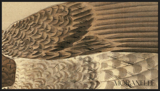 Ohara Koson Hawk - painting details, digital download for Samsung Frame TV.