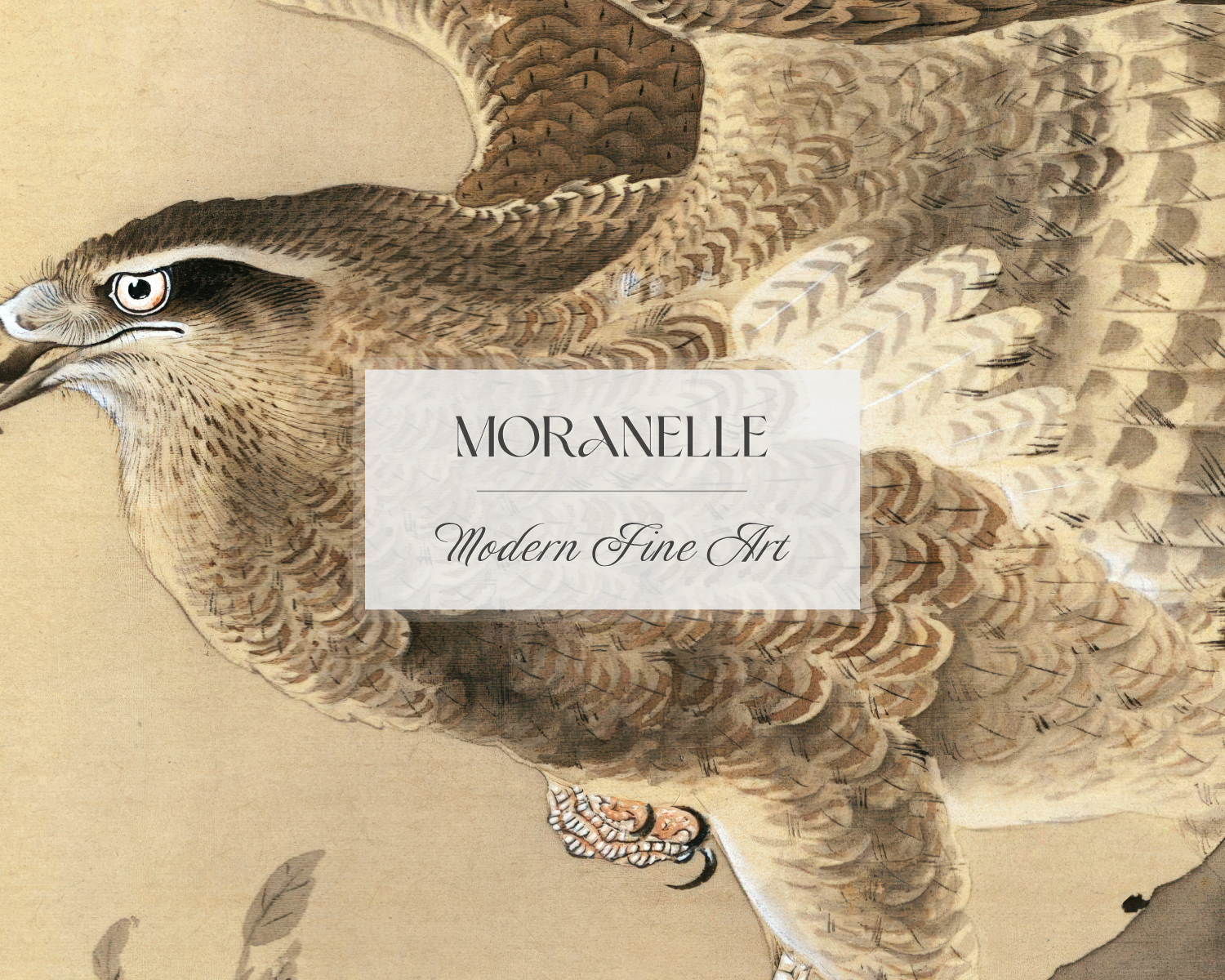 Ohara Koson Hawk - close-up view highlighting texture, brushwork, and fine details of the painting.