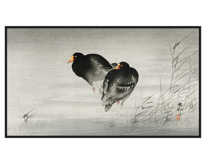 Ohara Koson, Two Moorhens - full painting reproduction, digital download for Samsung Frame TV.