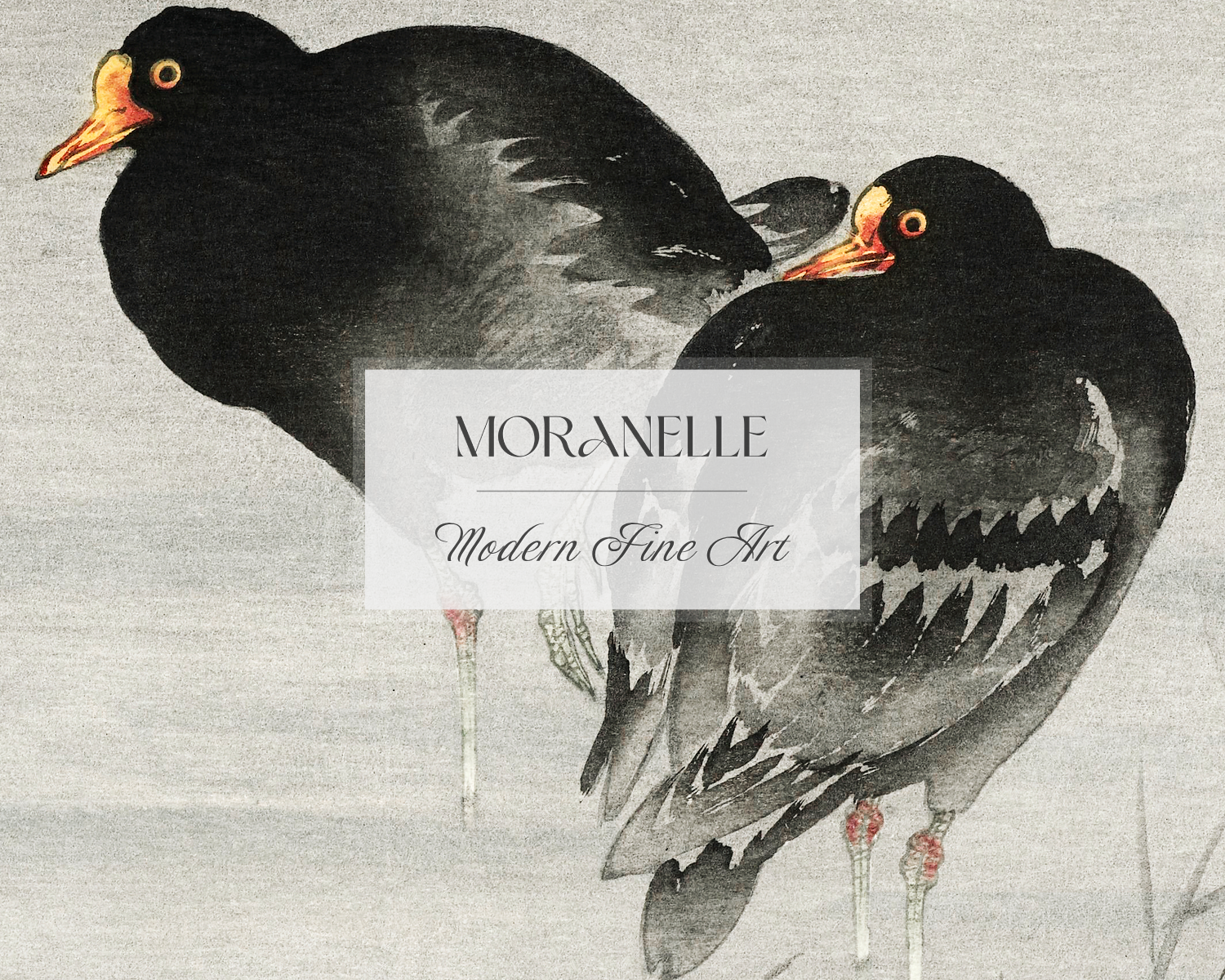 Ohara Koson, Two Moorhens - close-up view highlighting texture, brushwork, and fine details of the painting.