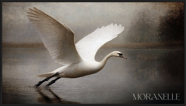 An artwork depicting a swan gliding gracefully over a foggy lake, rendered in soft neutral tones.