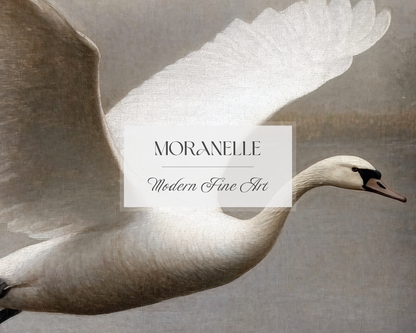 Swan in flight with 'Moranelle Modern Fine Art' label on a neutral background