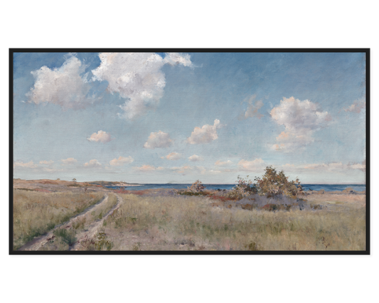 Coastal Landscape