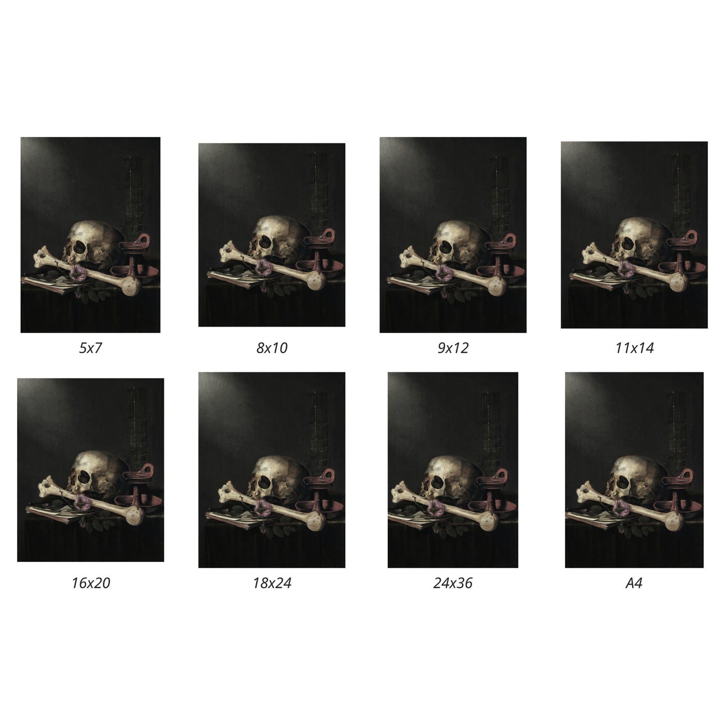 Set of images showing Vanitas by Joost Ferdinandes in various size variations for print purposes.