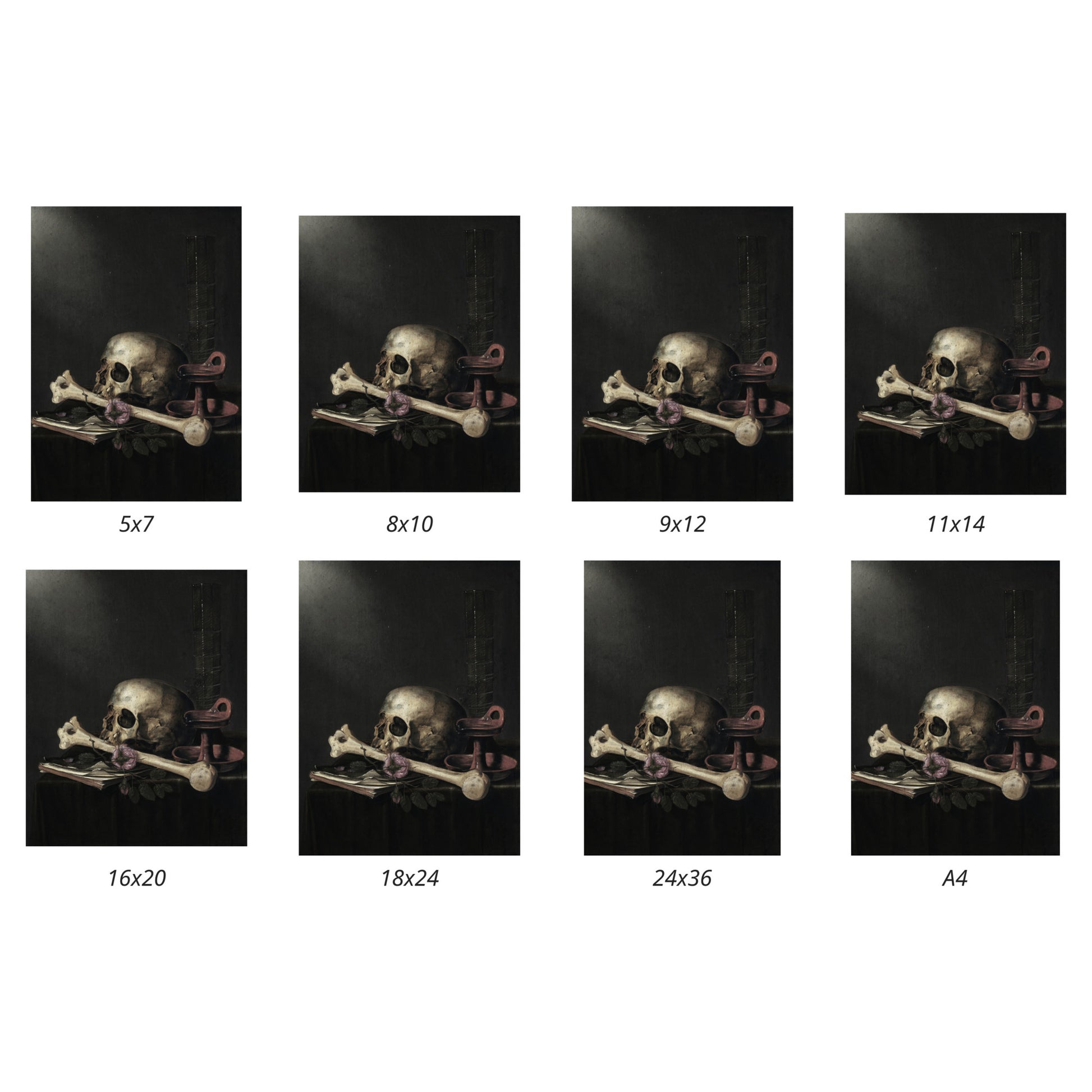Set of images showing Vanitas by Joost Ferdinandes in various size variations for print purposes.