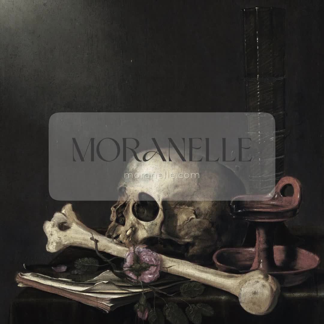 Video of Vanitas by Joost Ferdinandes