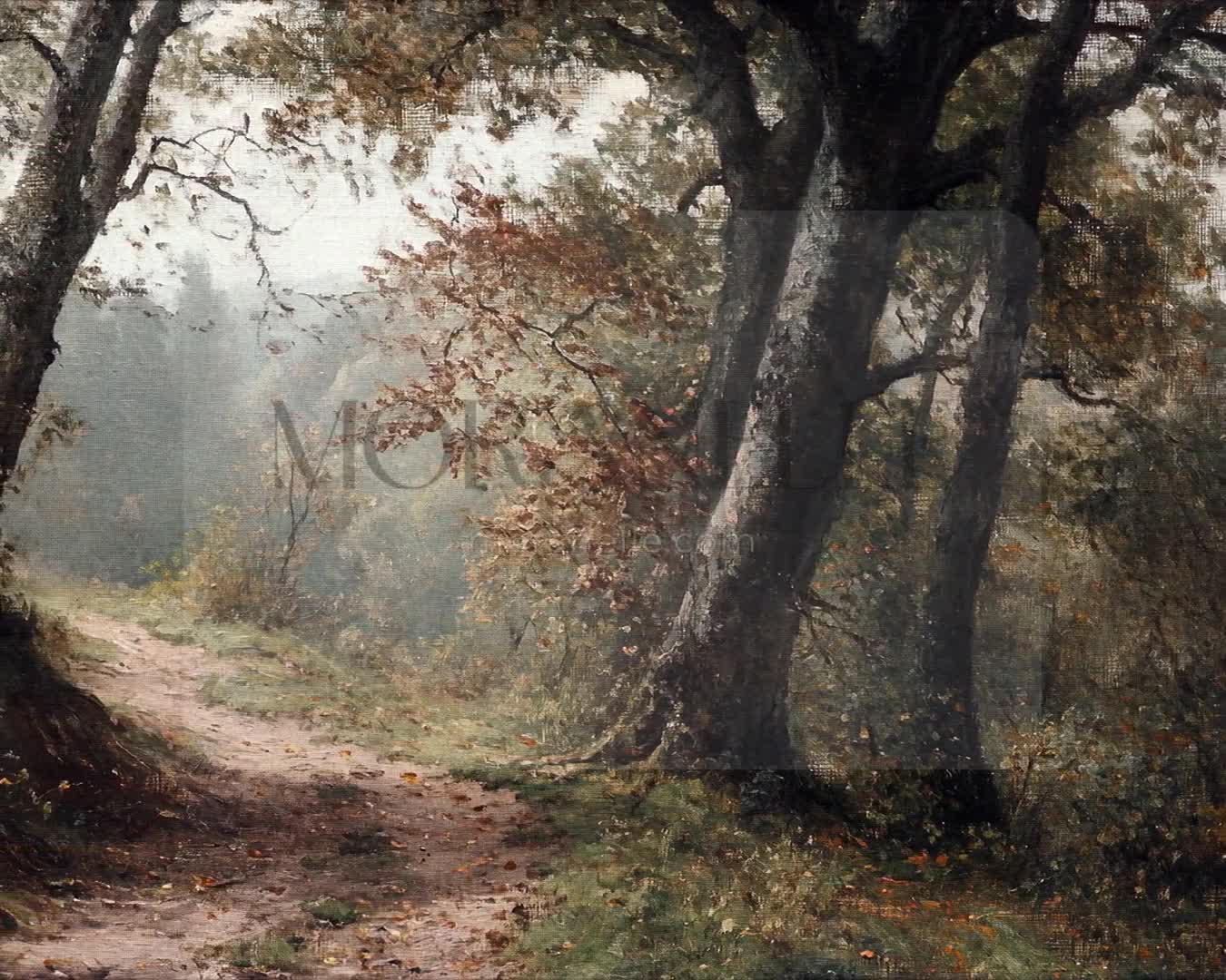 Slow slide revealing the tranquil forest path with trees and autumn colors.