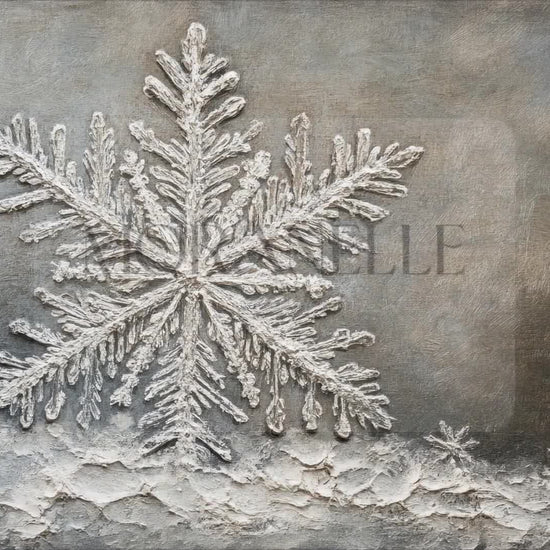 Video of a Snowflake Close-Up on textured background.