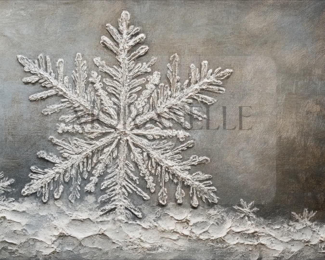 Video of a Snowflake Close-Up on textured background.