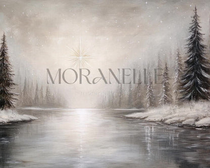 Video of painting of Star of Bethlehem.