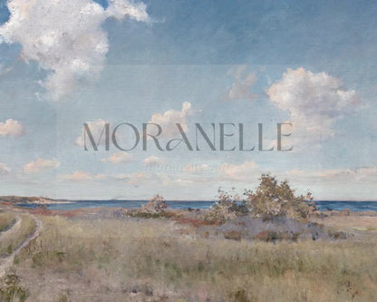 Coastal Landscape