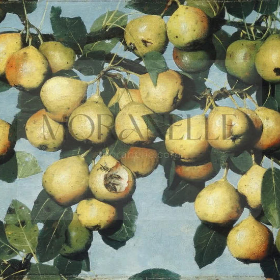 Slow slide of the Pear Tree Painting, showcasing the vibrant pears and leaves.