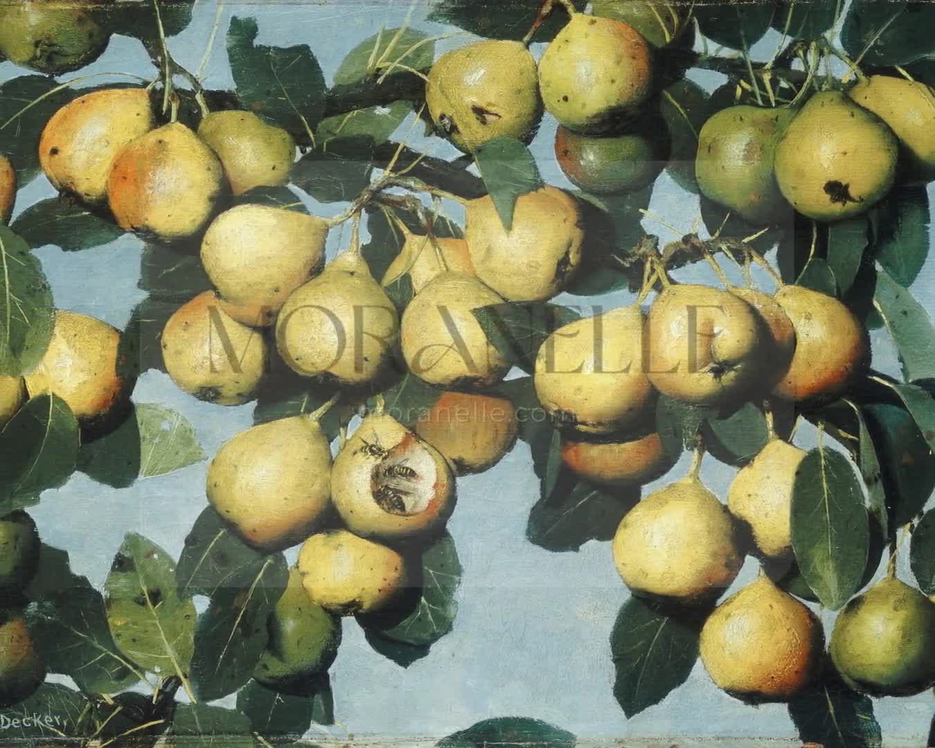 Slow slide of the Pear Tree Painting, showcasing the vibrant pears and leaves.
