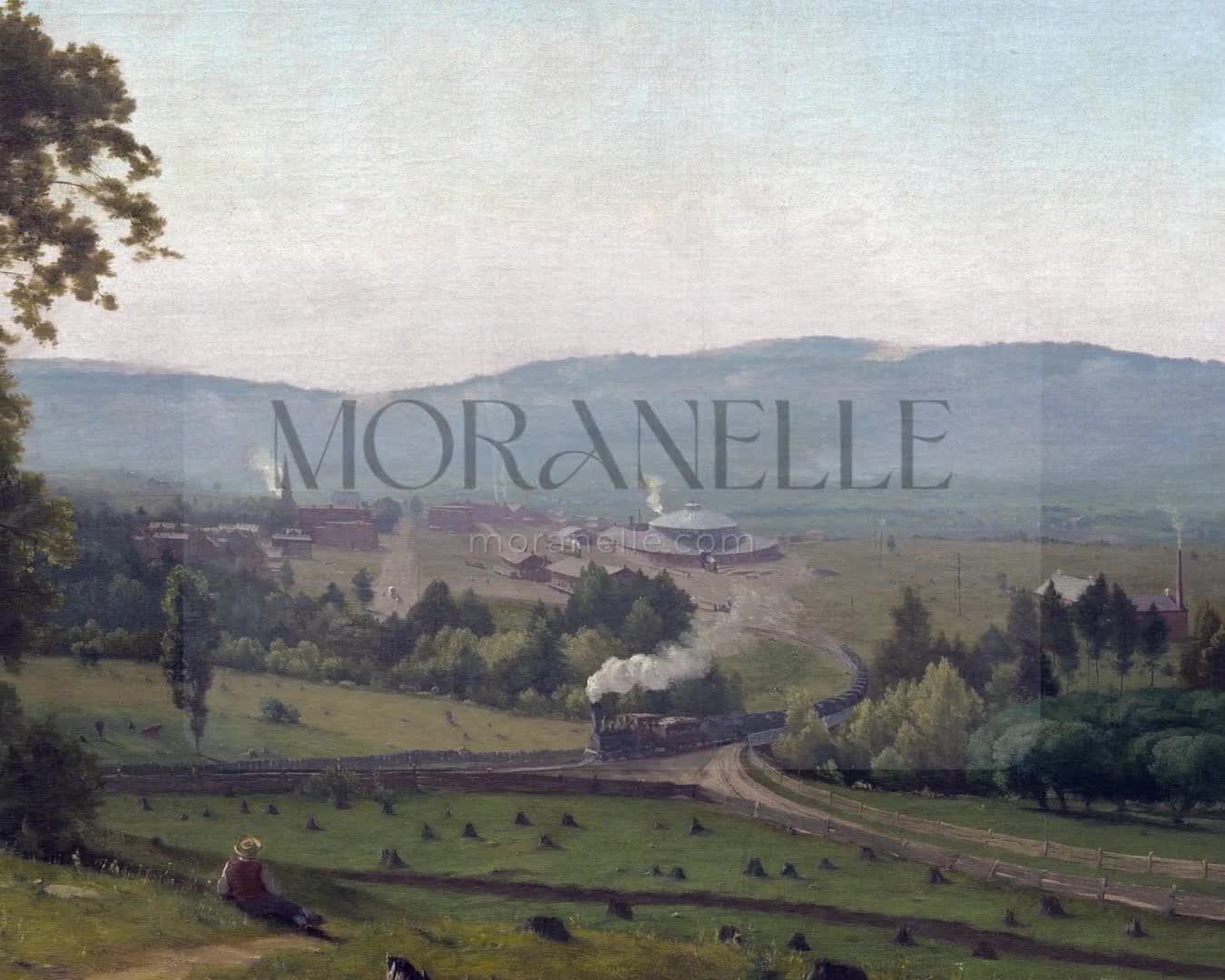 Slow slide of the Rural Train Landscape showcasing the tranquil valley and train.