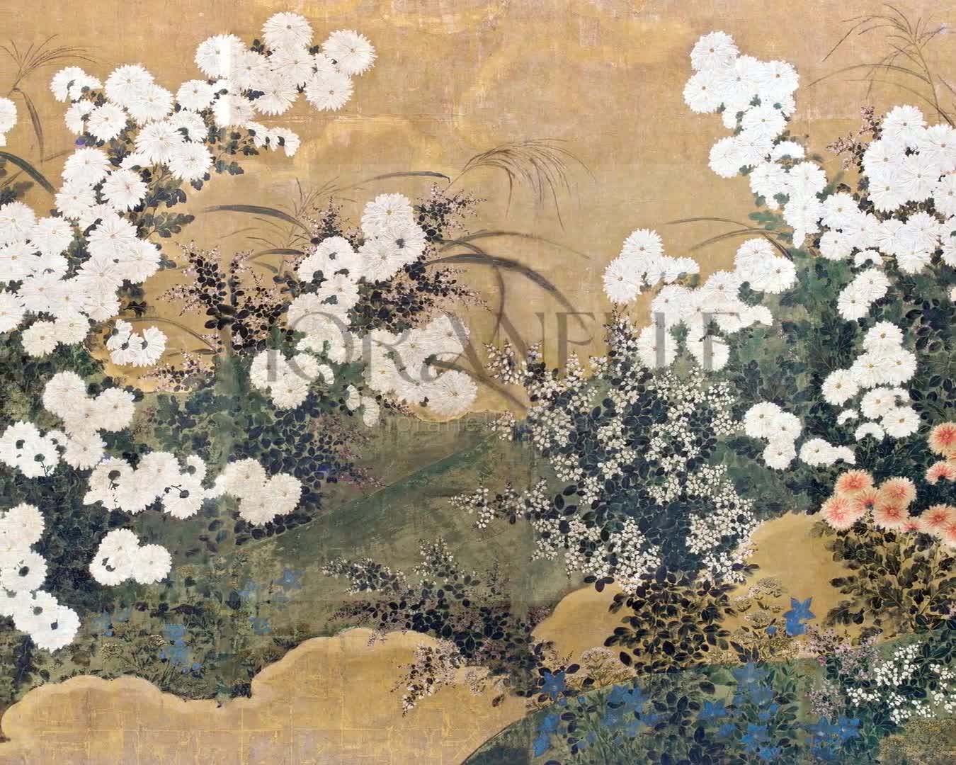 Anonymous, Chrysanthemums and Autumnal Plants – short video preview showing how the painting appears on Samsung Frame TV.
