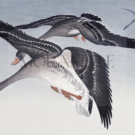 Ohara Koson, Geese at Full Moon – short video preview showing how the painting appears on Samsung Frame TV.