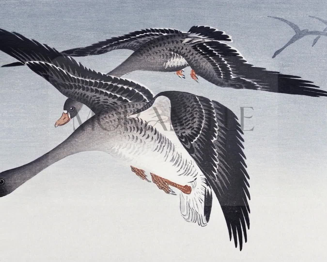 Ohara Koson, Geese at Full Moon – short video preview showing how the painting appears on Samsung Frame TV.
