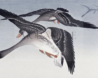 Ohara Koson, Geese at Full Moon – short video preview showing how the painting appears on Samsung Frame TV.
