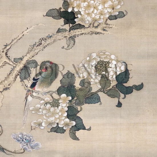Sō Shiseki, Parakeets among Hydrangeas and Poppies – short video preview showing how the painting appears on Samsung Frame TV.