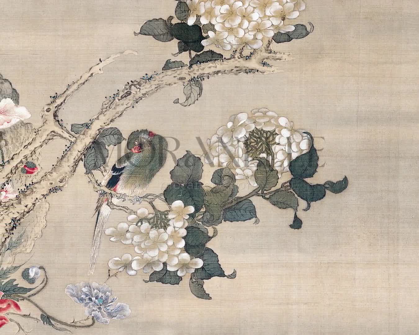 Sō Shiseki, Parakeets among Hydrangeas and Poppies – short video preview showing how the painting appears on Samsung Frame TV.