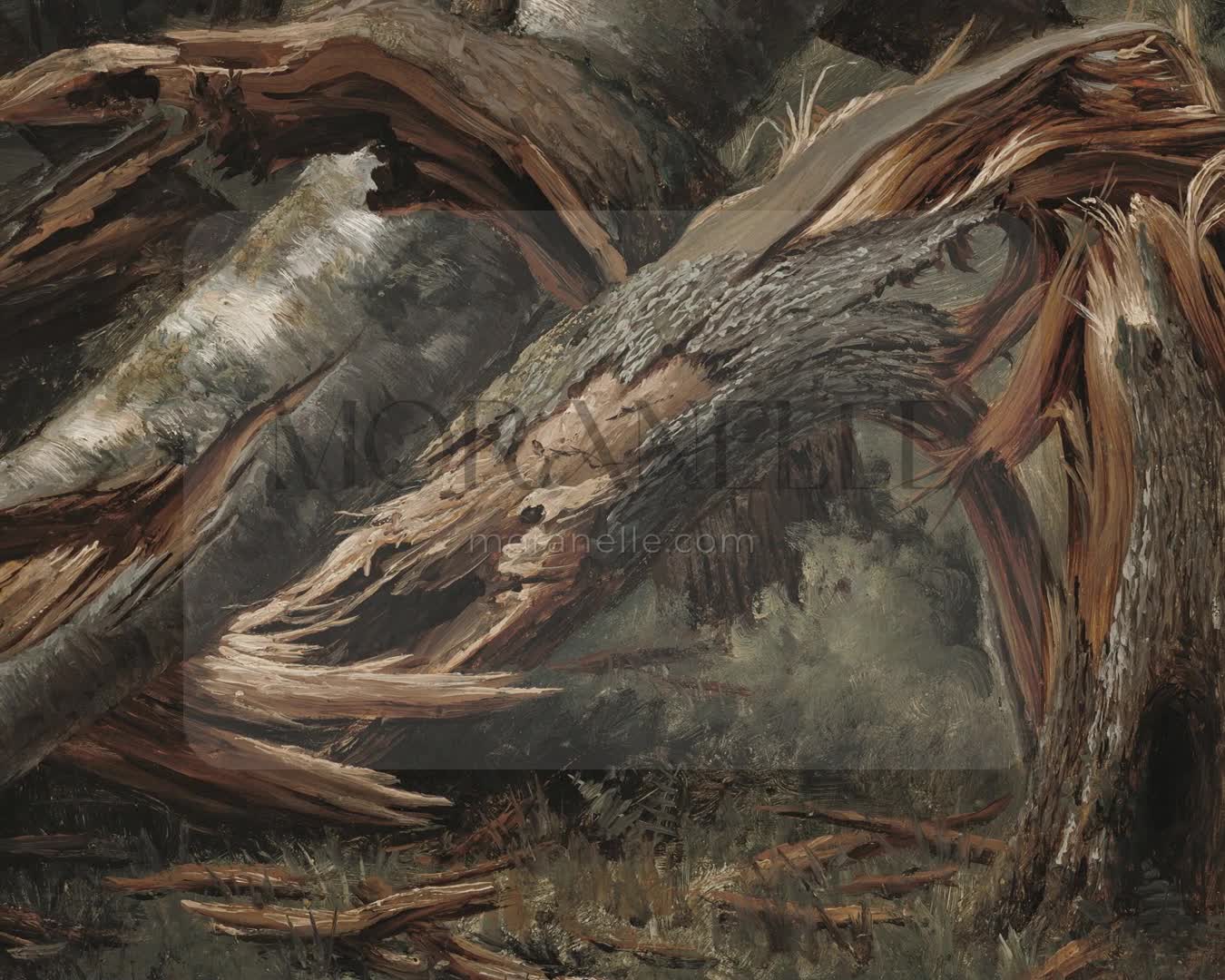Alexandre Calame, Fallen Tree – short video preview showing how the painting appears on Samsung Frame TV.