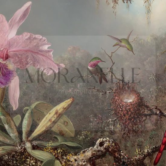 Martin Johnson Heade, Cattleya Orchid and Three Hummingbirds – short video preview showing how the painting appears on Samsung Frame TV.