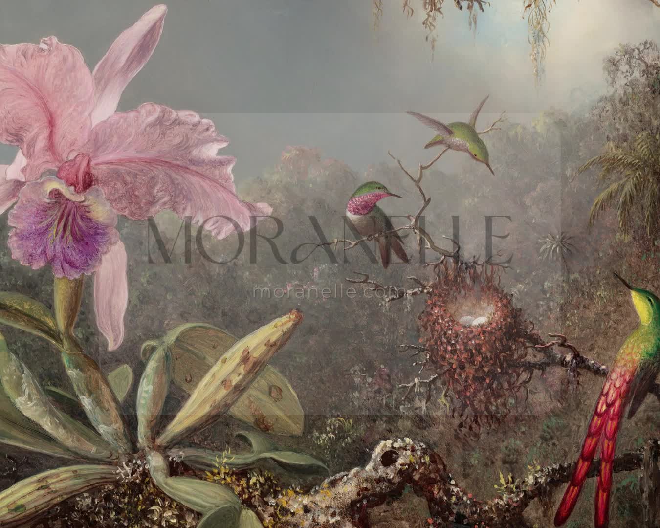 Martin Johnson Heade, Cattleya Orchid and Three Hummingbirds – short video preview showing how the painting appears on Samsung Frame TV.