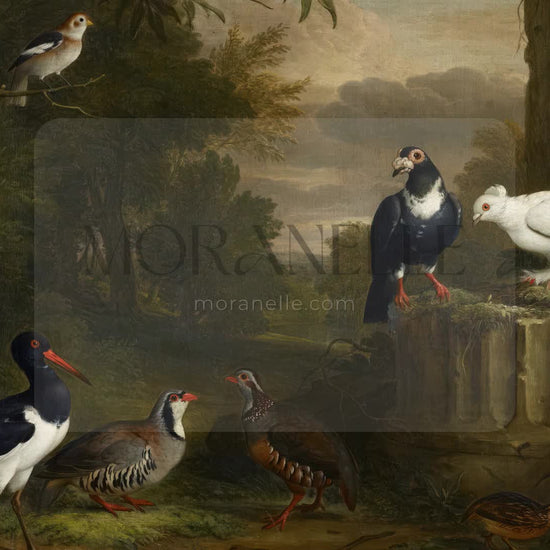 Jakob Bogdani Birds in a Landscape - short video preview showing how the painting appears on Samsung Frame TV.