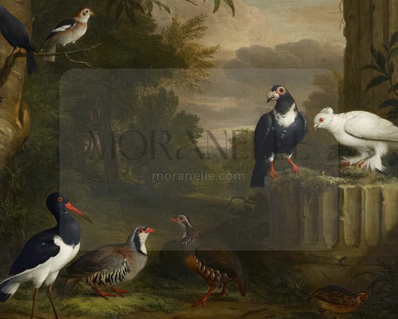 Jakob Bogdani Birds in a Landscape - short video preview showing how the painting appears on Samsung Frame TV.