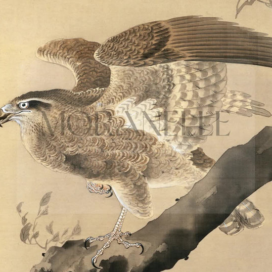 Ohara Koson Hawk - short video preview showing how the painting appears on Samsung Frame TV.