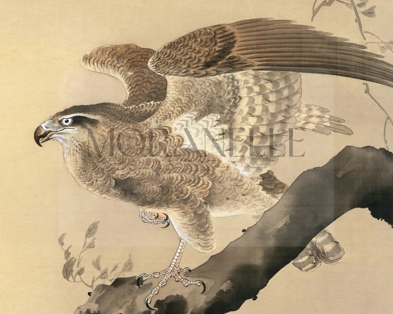 Ohara Koson Hawk - short video preview showing how the painting appears on Samsung Frame TV.