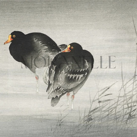 Ohara Koson, Two Moorhens - short video preview showing how the painting appears on Samsung Frame TV.