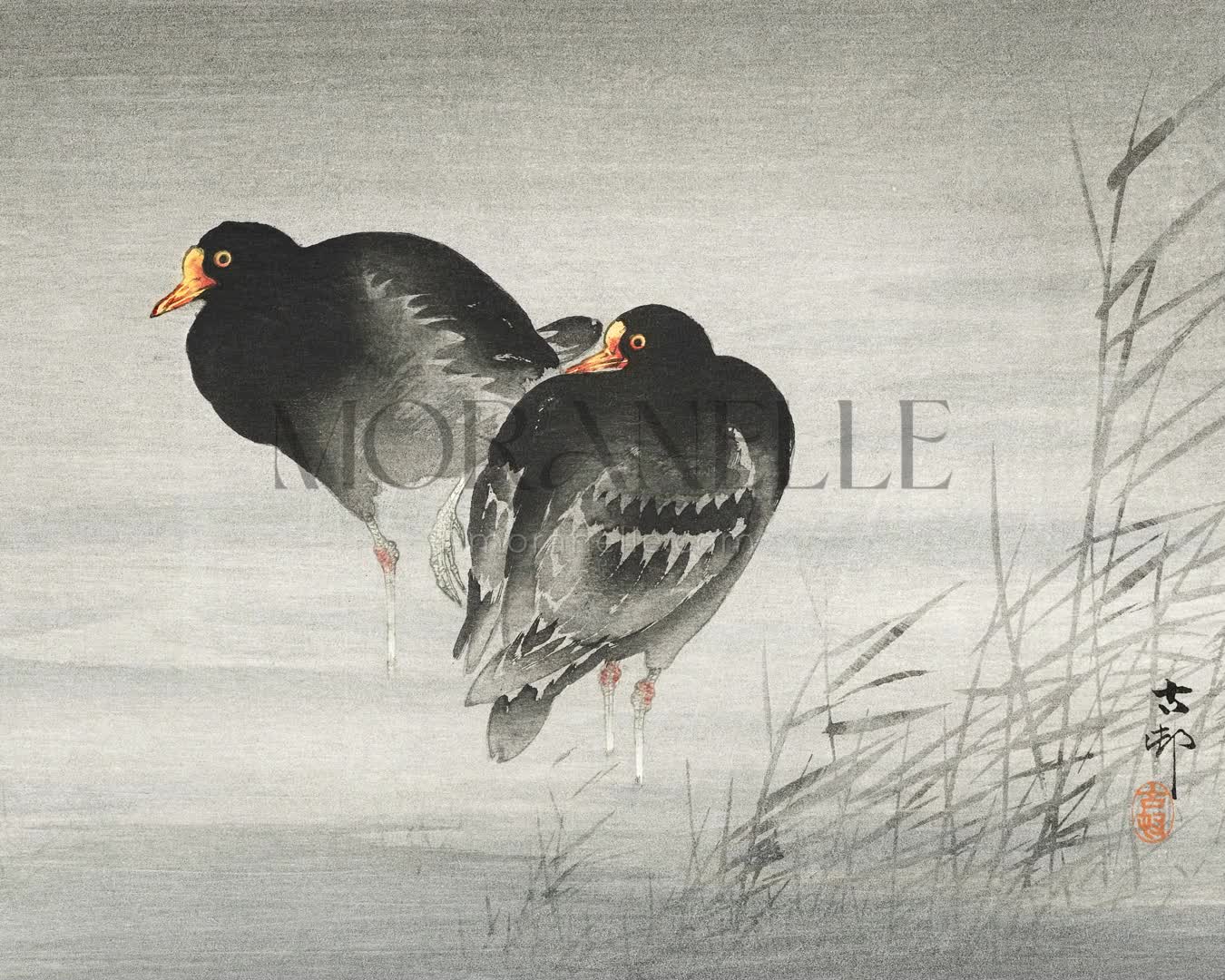 Ohara Koson, Two Moorhens - short video preview showing how the painting appears on Samsung Frame TV.