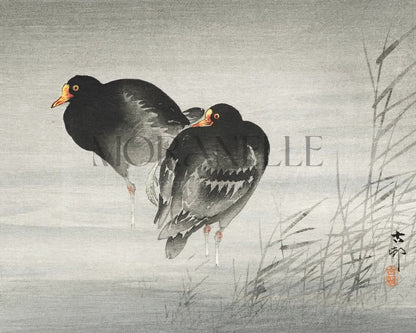 Ohara Koson, Two Moorhens - short video preview showing how the painting appears on Samsung Frame TV.