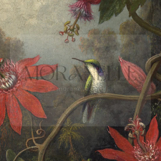 Martin Johnson Heade Hummingbird and Passionflowers - short video preview showing how the painting appears on Samsung Frame TV.