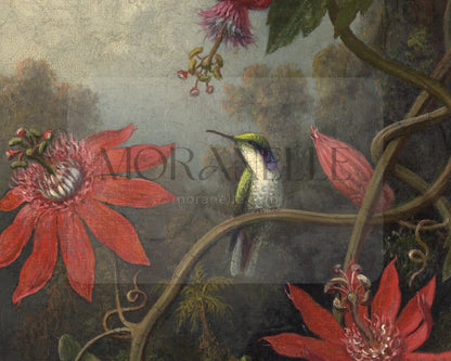 Martin Johnson Heade Hummingbird and Passionflowers - short video preview showing how the painting appears on Samsung Frame TV.