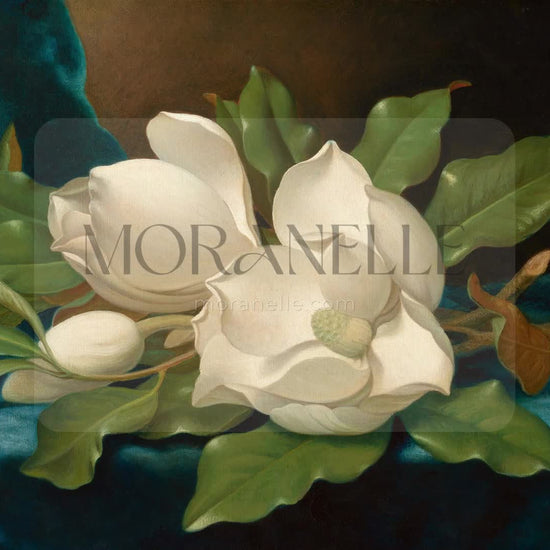 Martin Johnson Heade Magnolias on a Blue Velvet Cloth - short video preview showing how the painting appears on Samsung Frame TV.