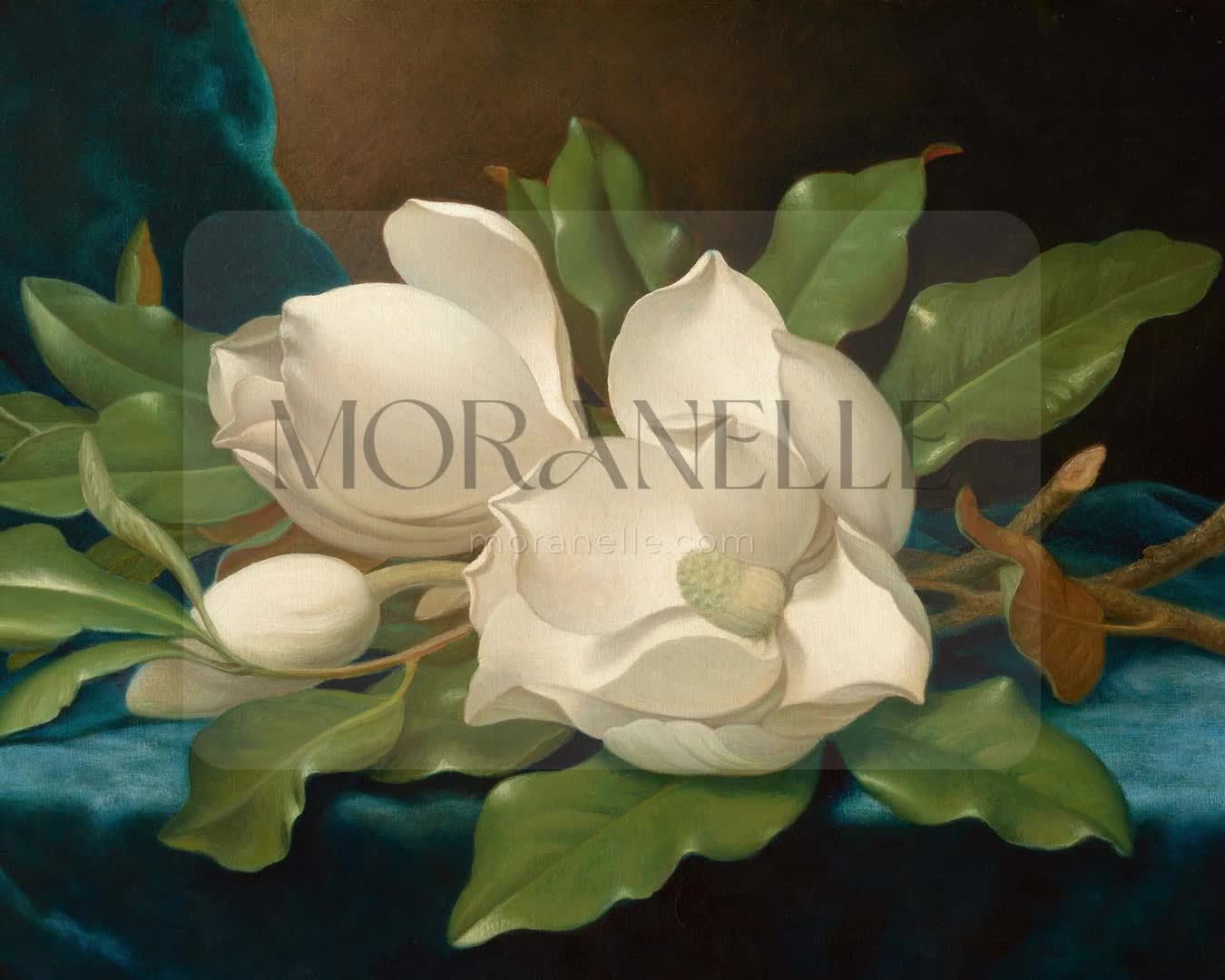 Martin Johnson Heade Magnolias on a Blue Velvet Cloth - short video preview showing how the painting appears on Samsung Frame TV.