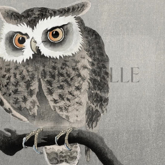 Ohara Koson Long-eared Owl on Bare Tree Branch - short video preview showing how the painting appears on Samsung Frame TV.