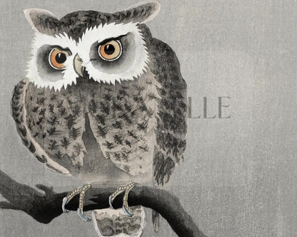 Ohara Koson Long-eared Owl on Bare Tree Branch - short video preview showing how the painting appears on Samsung Frame TV.