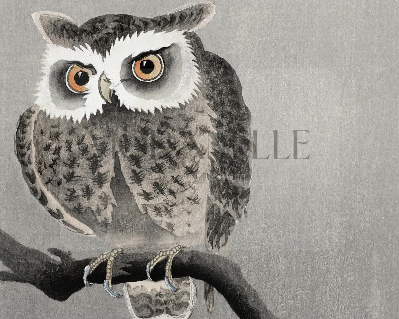 Ohara Koson Long-eared Owl on Bare Tree Branch - short video preview showing how the painting appears on Samsung Frame TV.